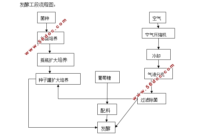 年产20000吨谷氨酸发酵工艺流程设计(含CAD图)
