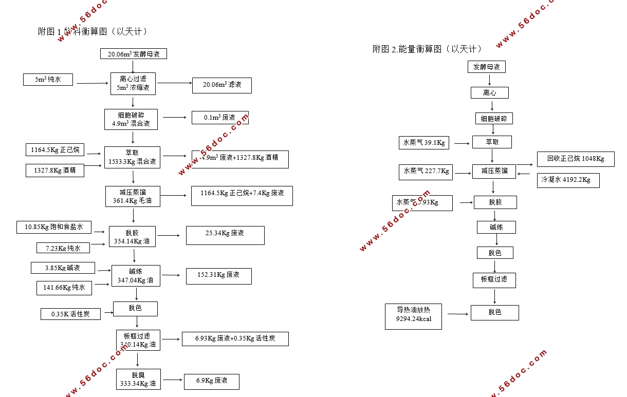 年产100吨花生四烯酸分离工艺流程设计(制药工程)(含CAD图)